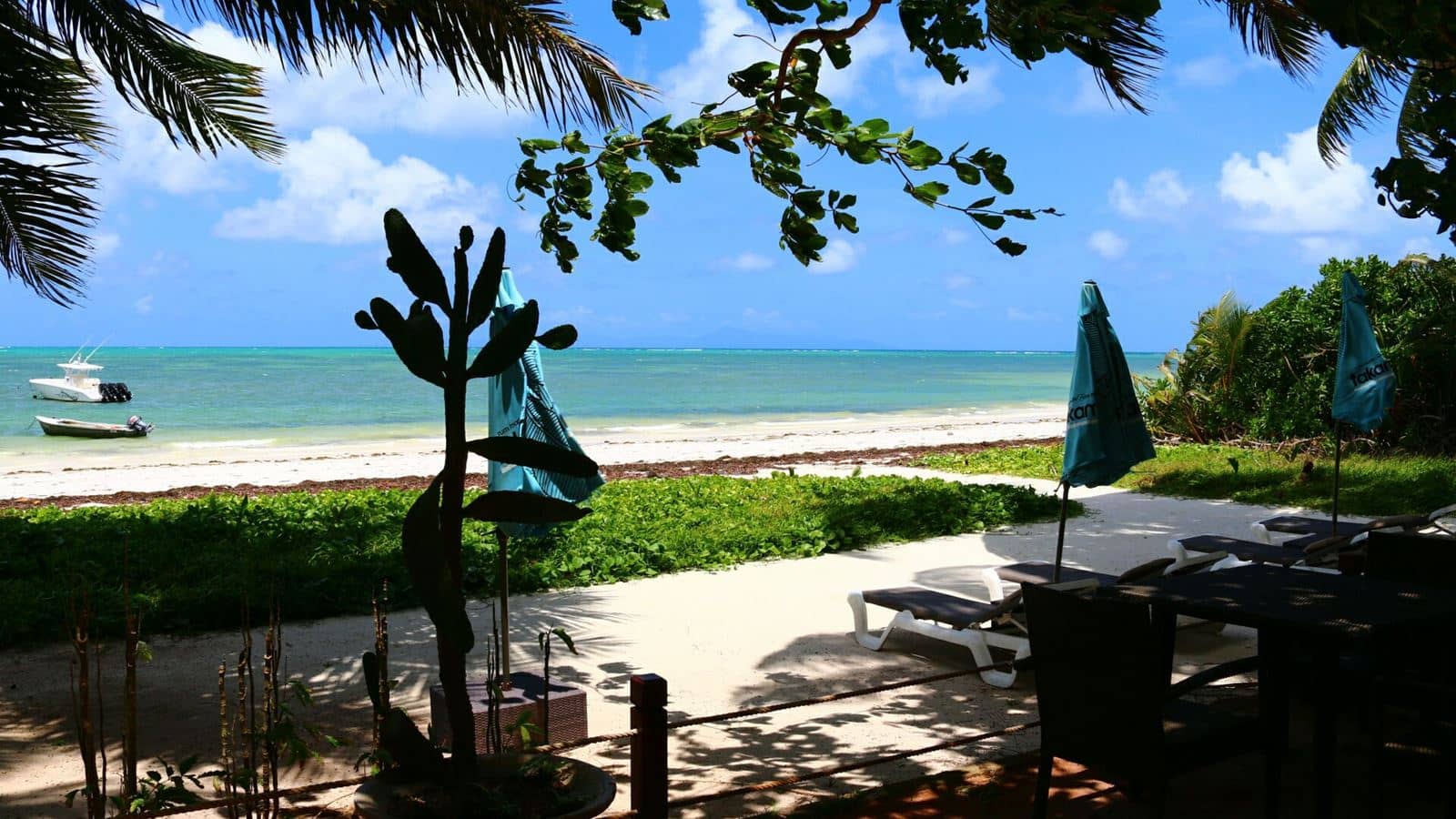 beach-beach
