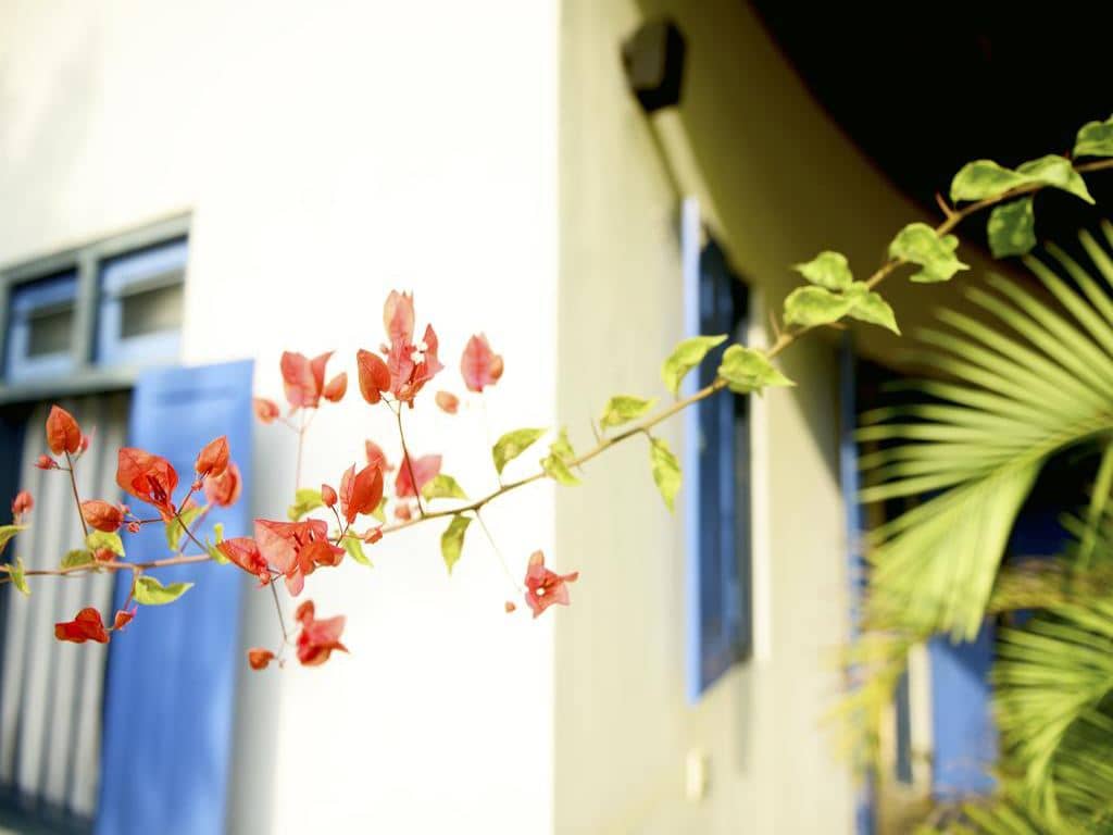 rooms-araliya-villa