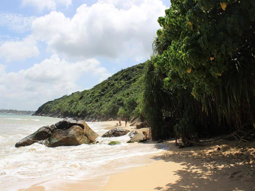 beach-beach