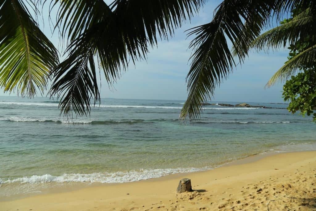beach-beach
