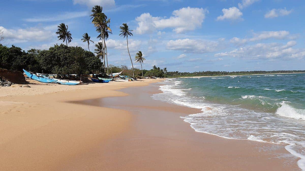 beach-beach