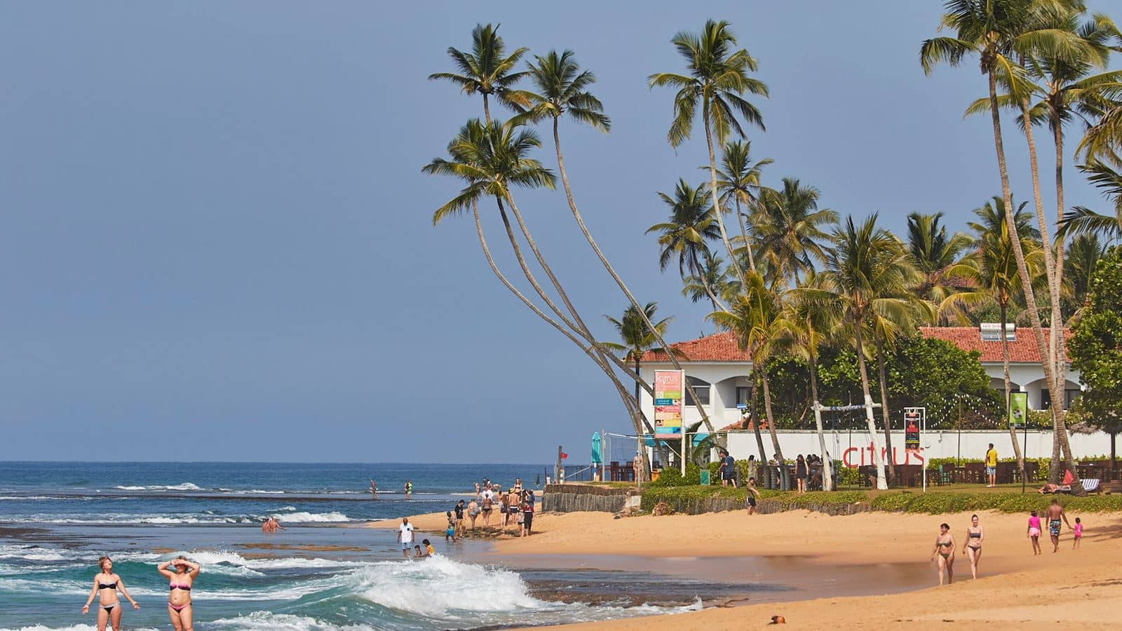 beach-beach