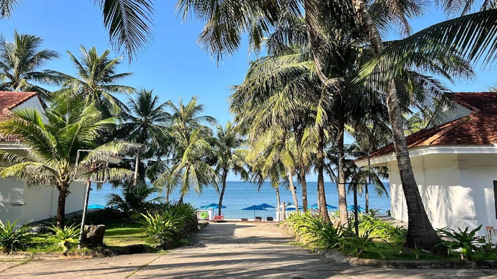 rooms-bungalow-beachfront-with-terrace-child-without-extra-bed