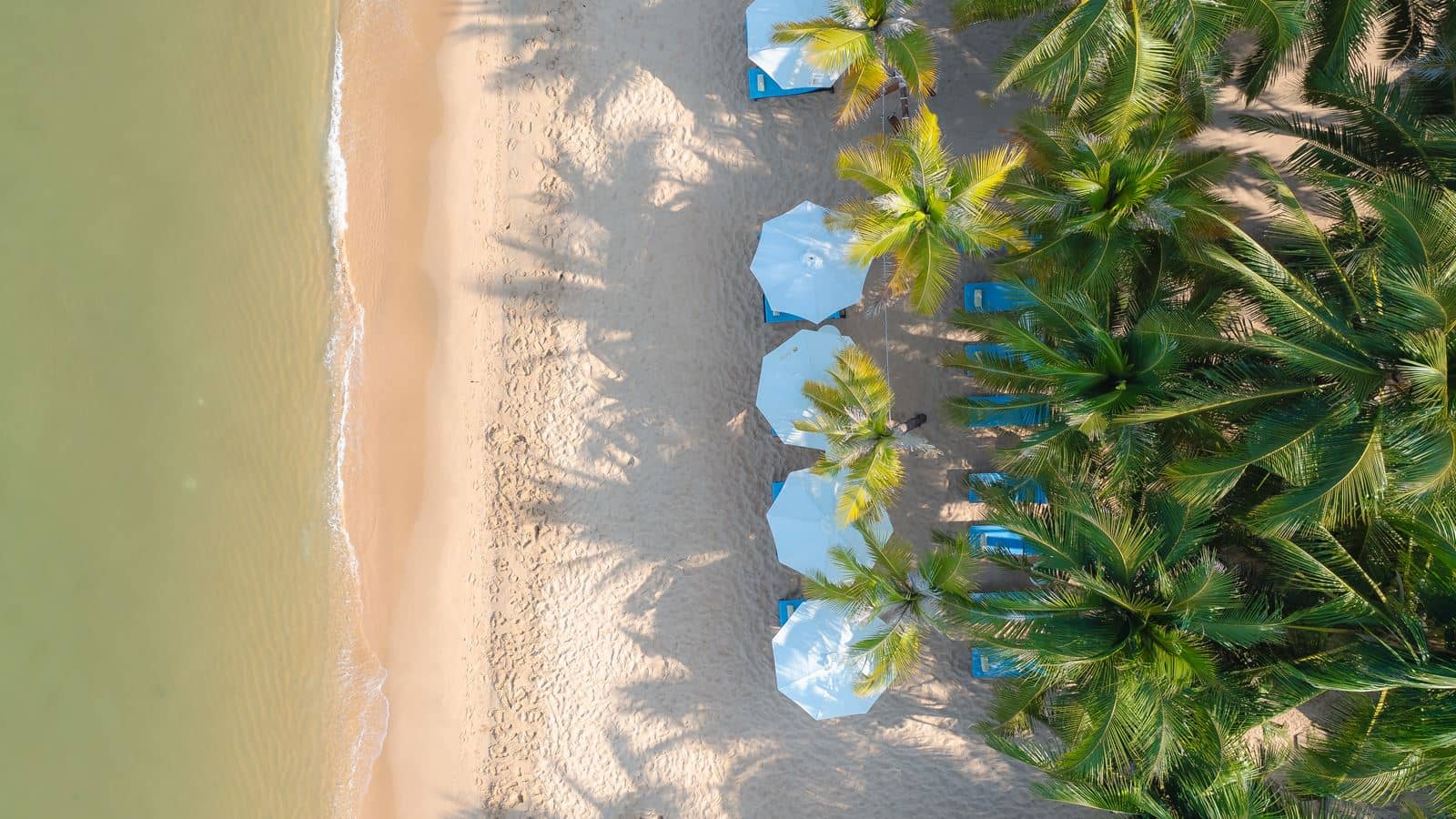 beach-other