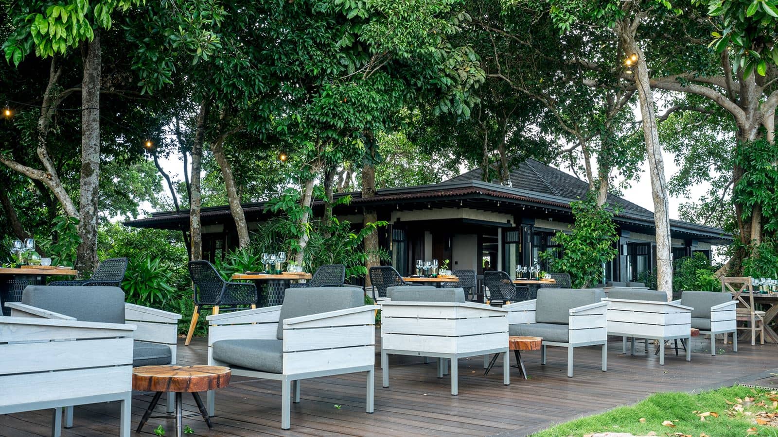 restaurants-tree-house