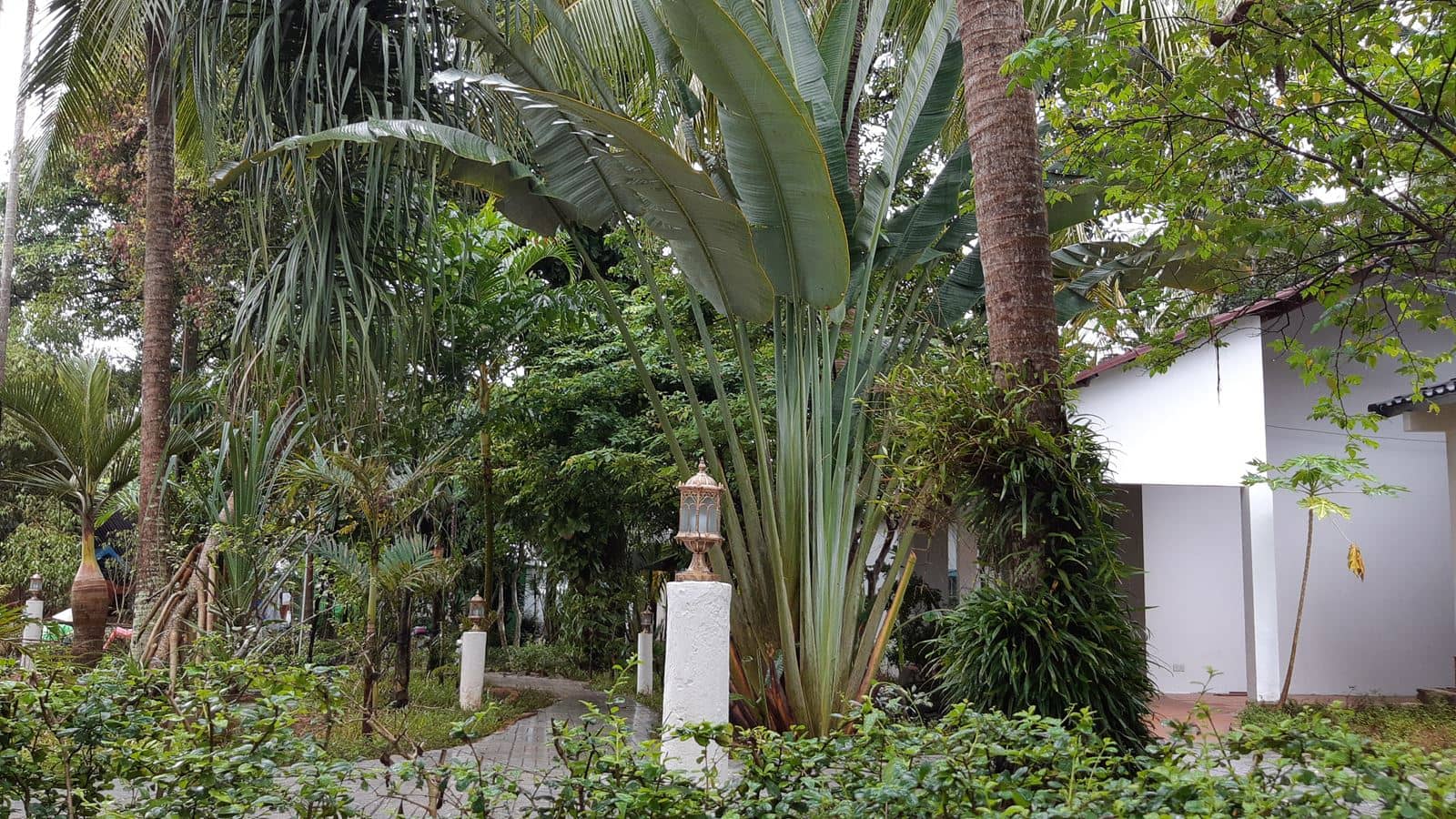 general-bungalow