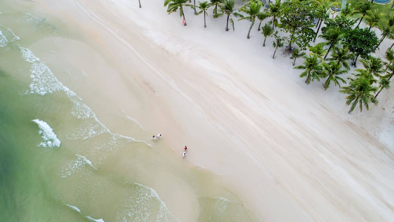 beach-beach