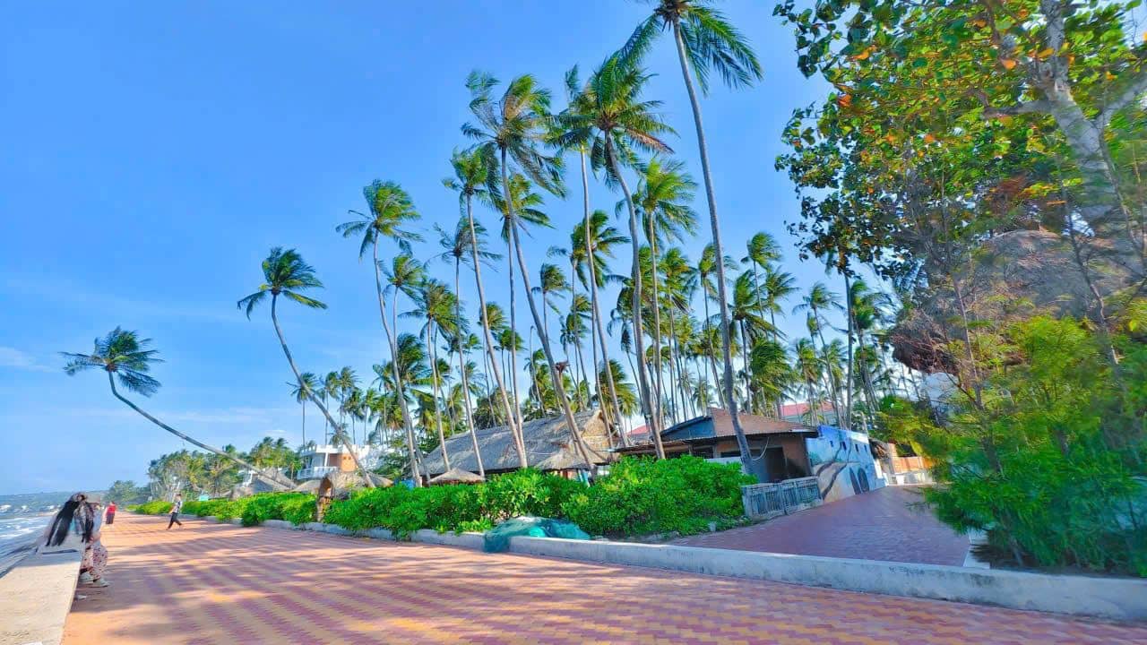 beach-beach