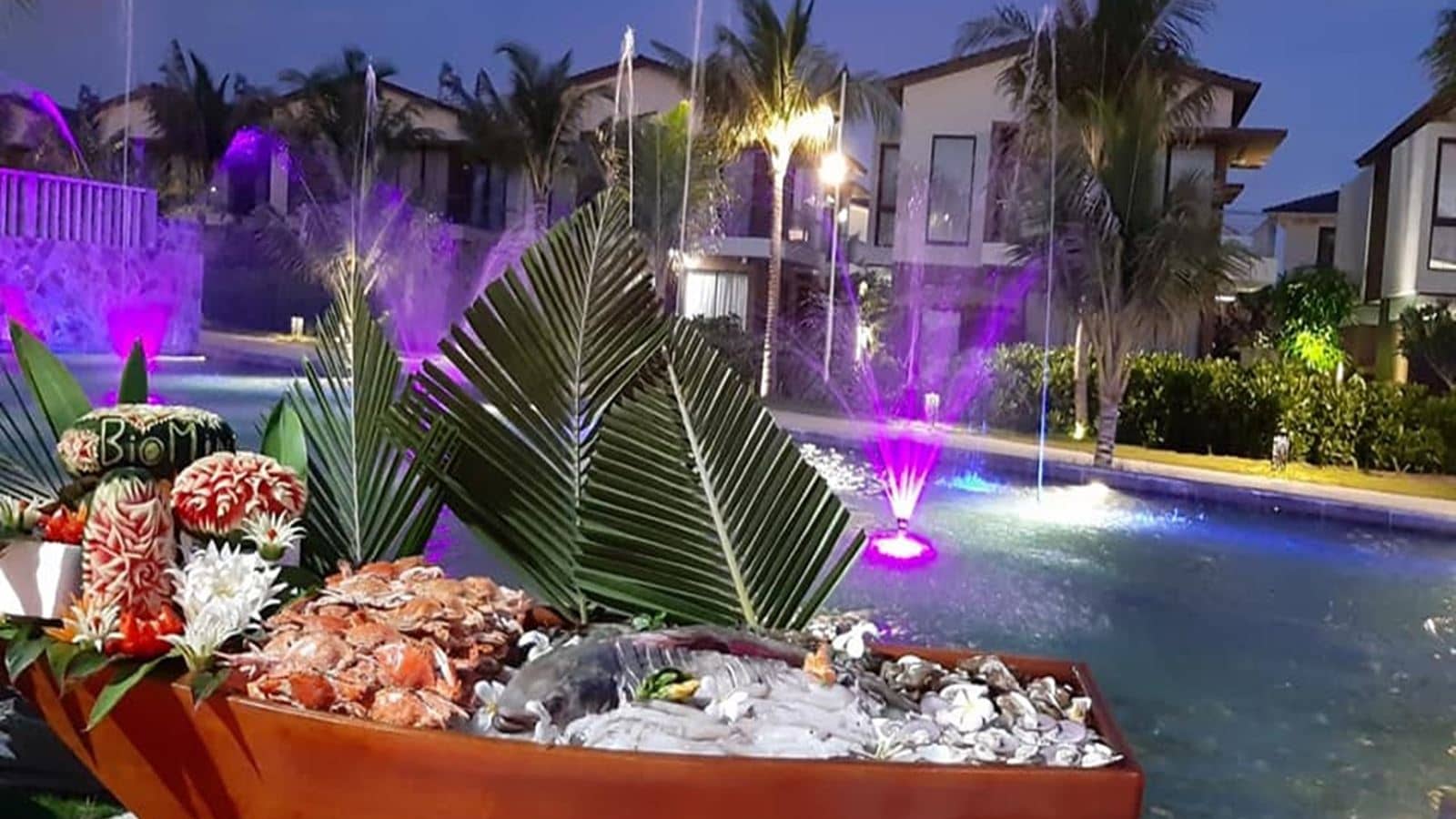 restaurants-sonaga-1