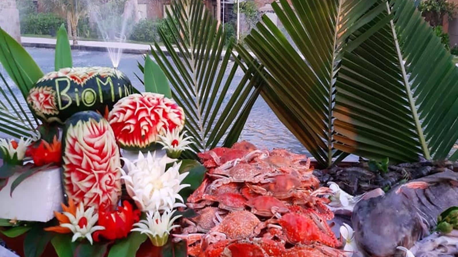 restaurants-sonaga-1