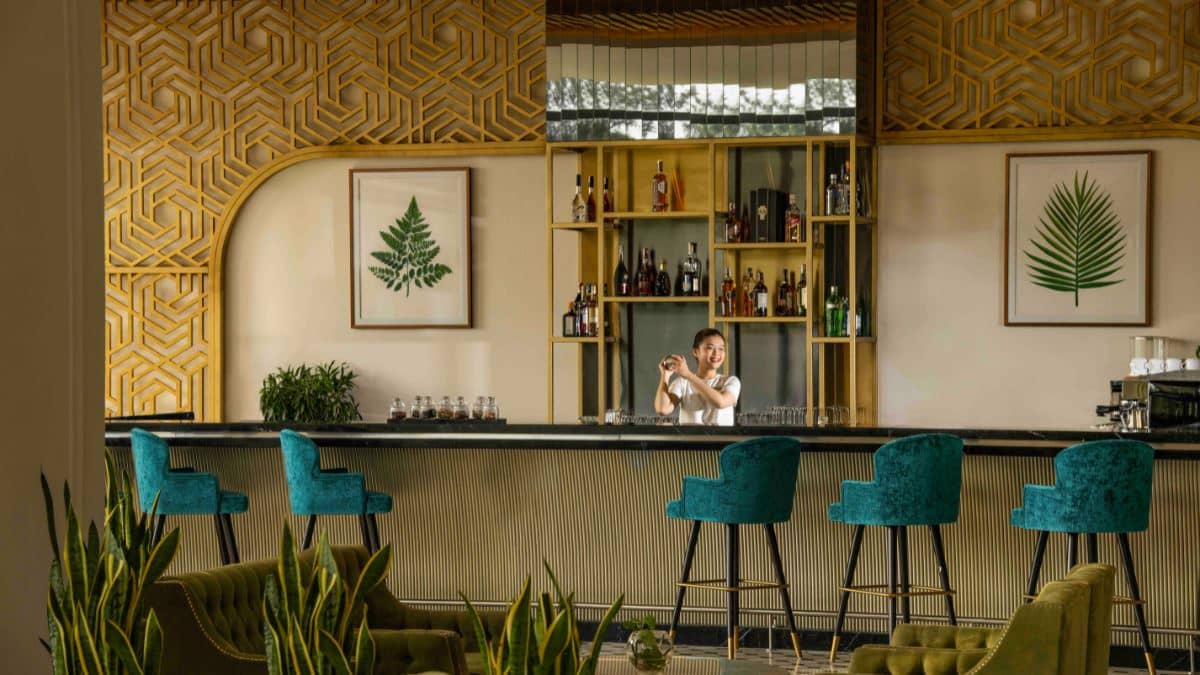 bars-elyxr-cafe