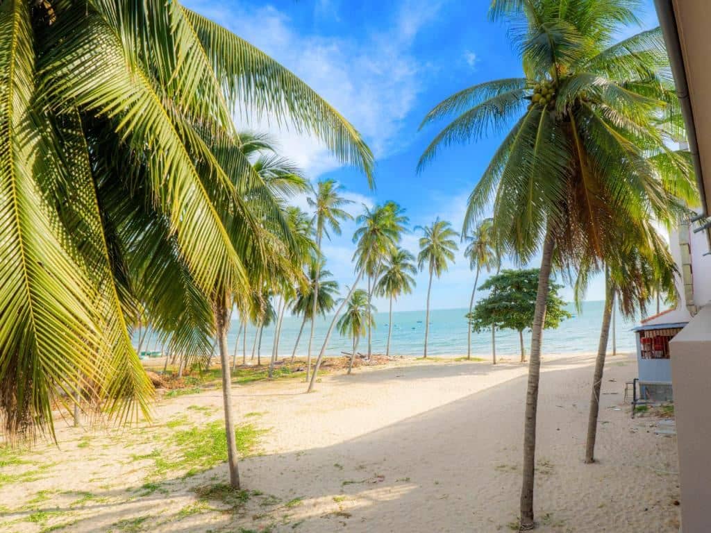 beach-beach