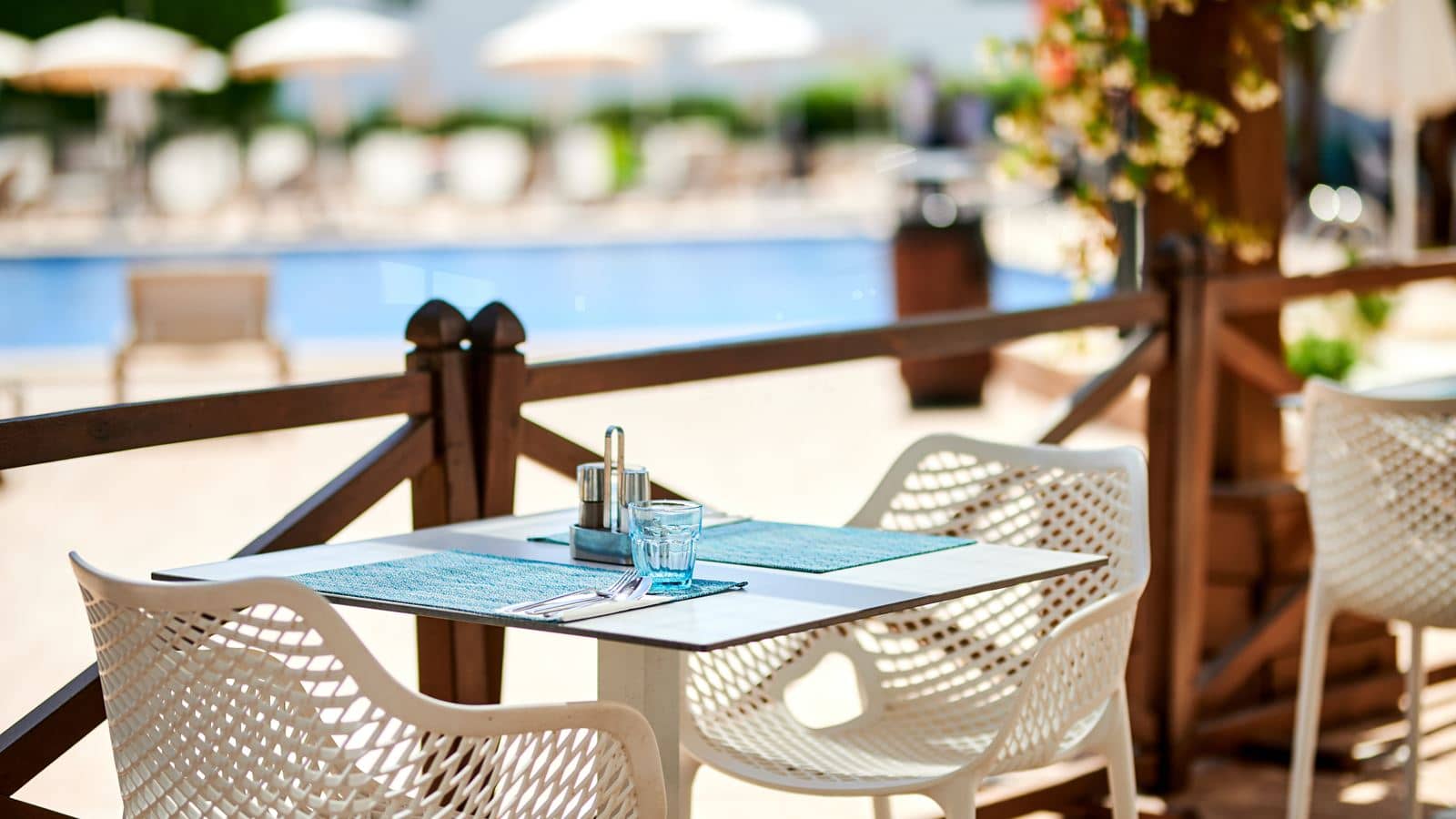 restaurants-terra