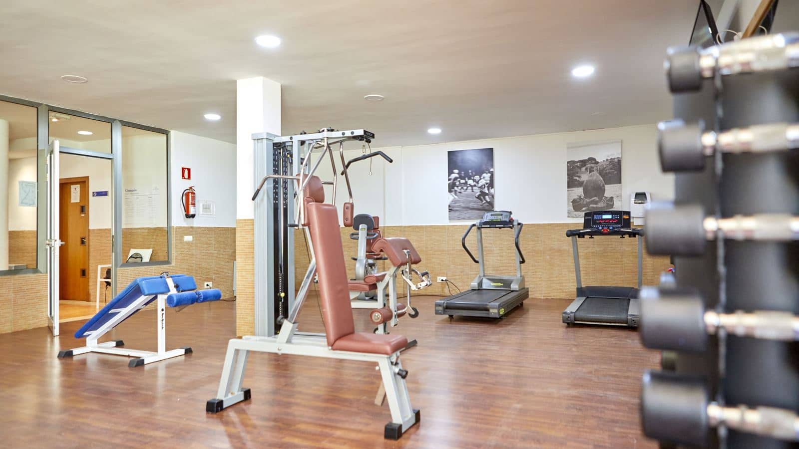 sport-sport