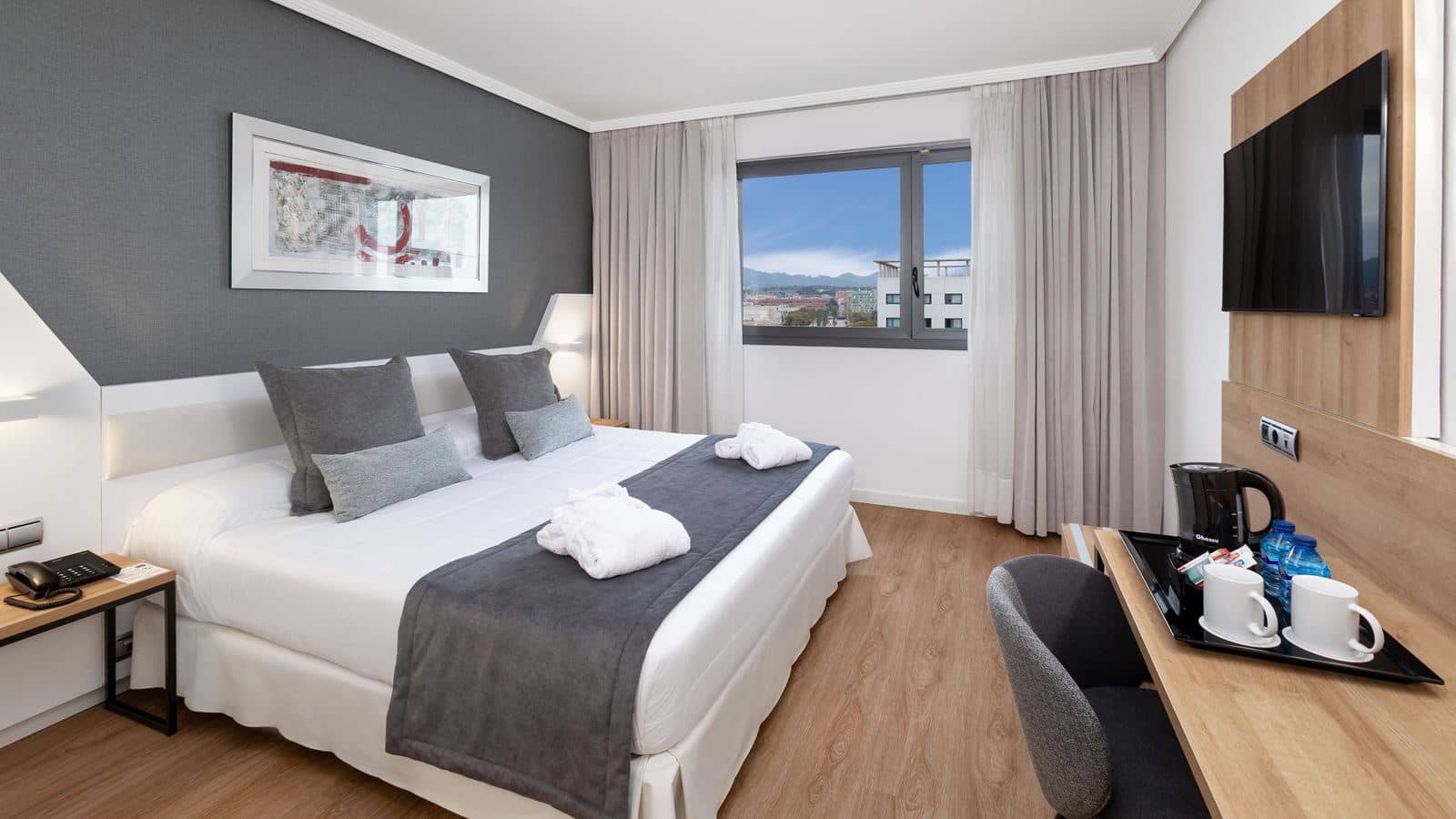 rooms-executive-room