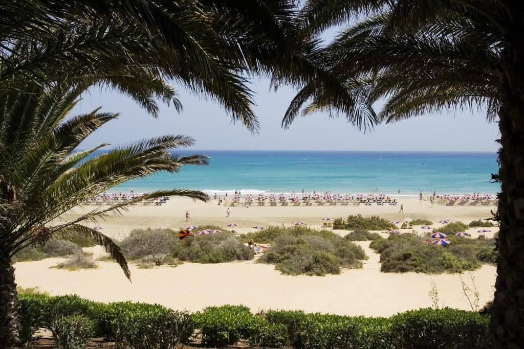 beach-beach