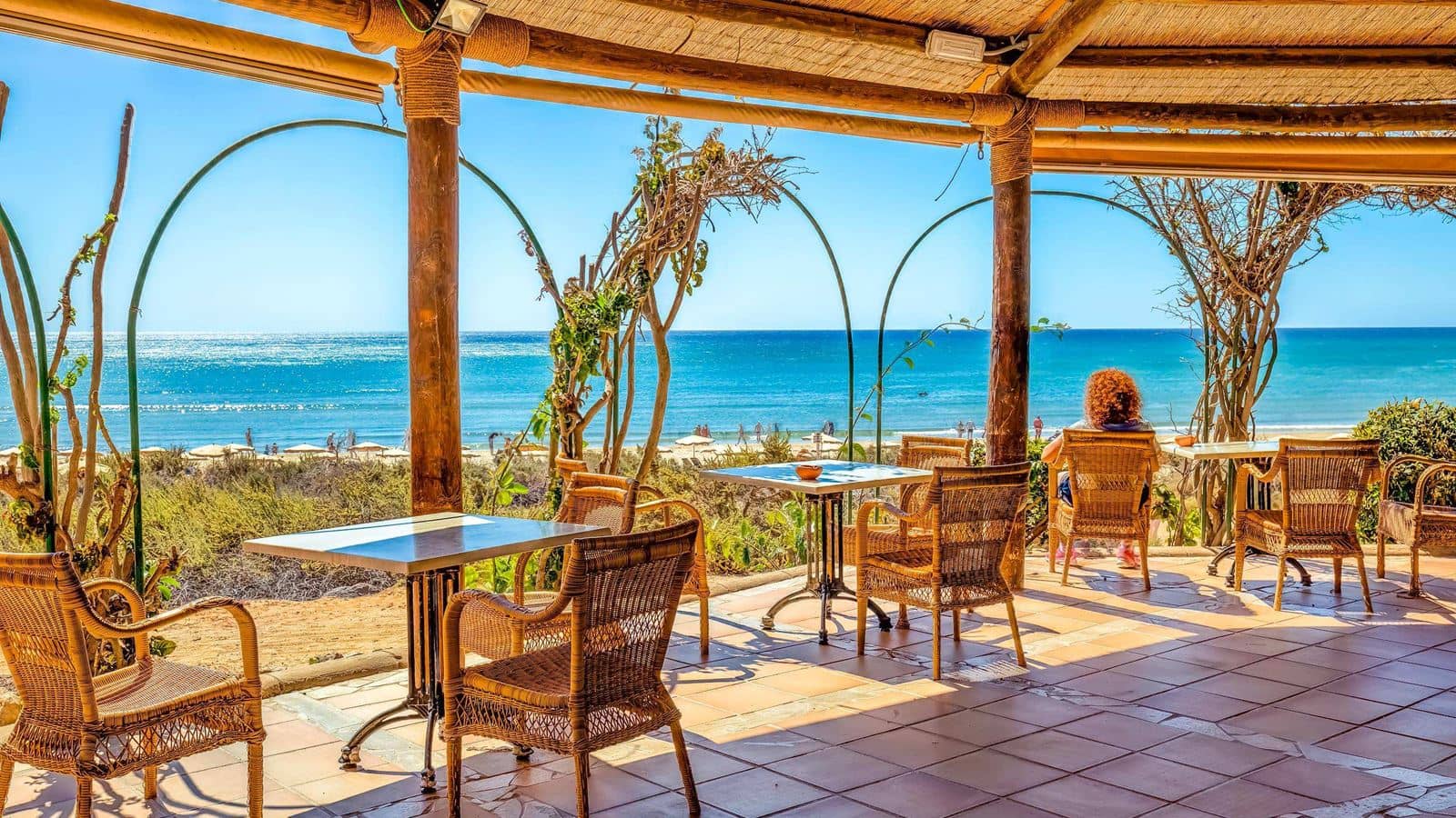 bars-bar-playa