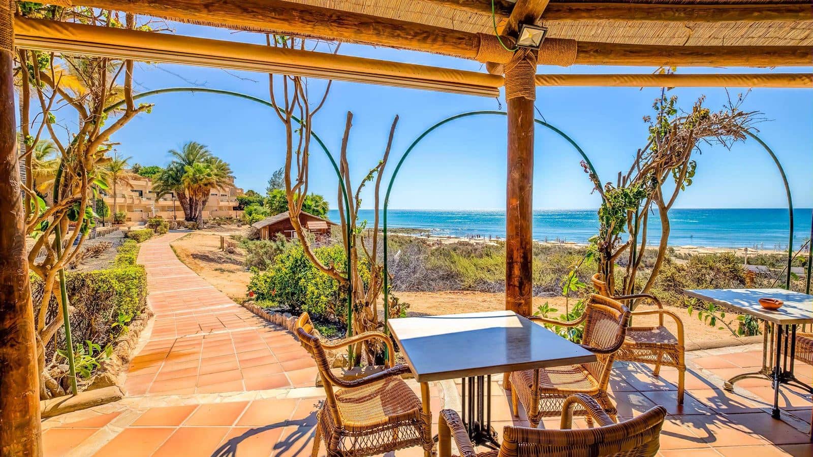 bars-bar-playa