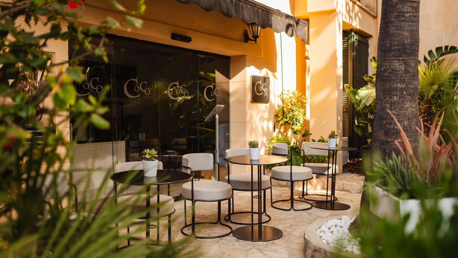 bars-coco-café