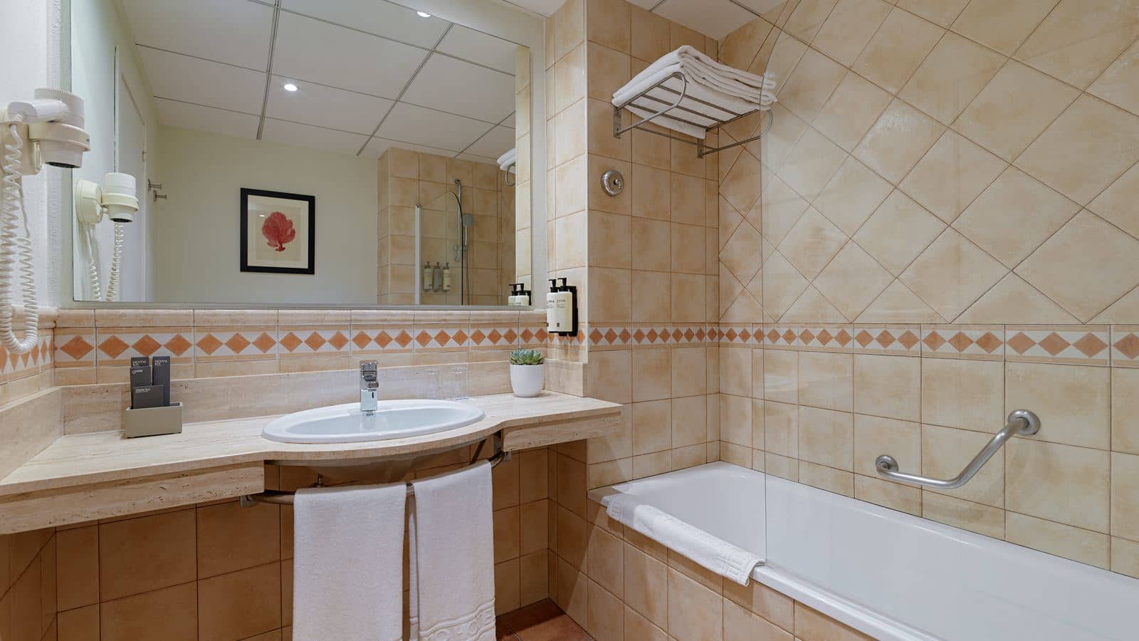 rooms-double-standard-room-poolview