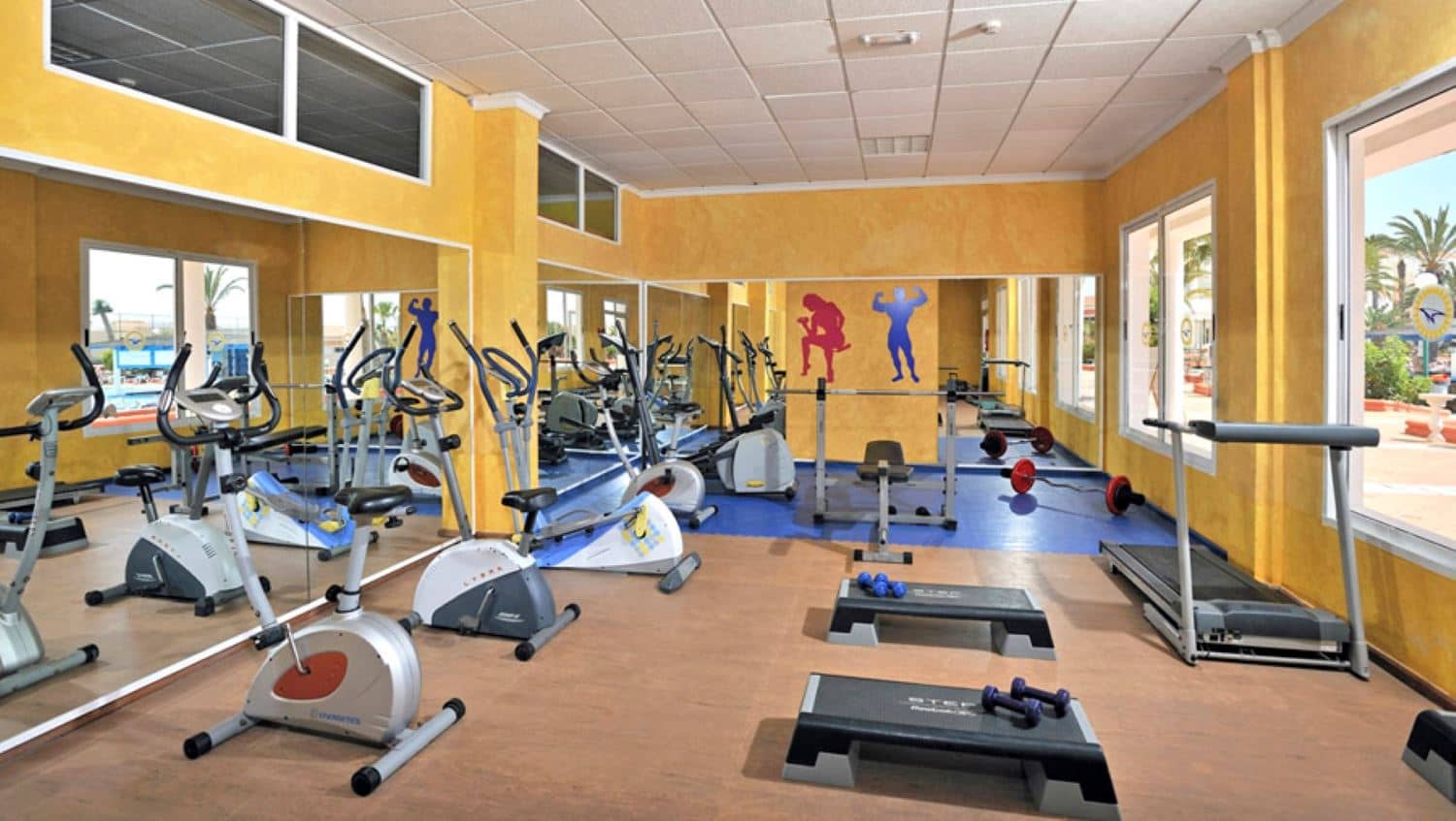 sport-sport
