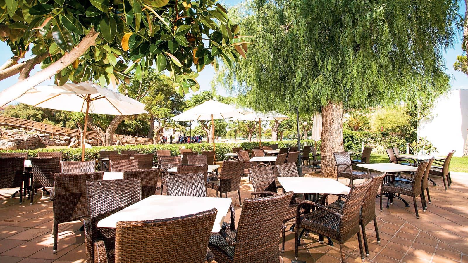 restaurants-main-restaurant