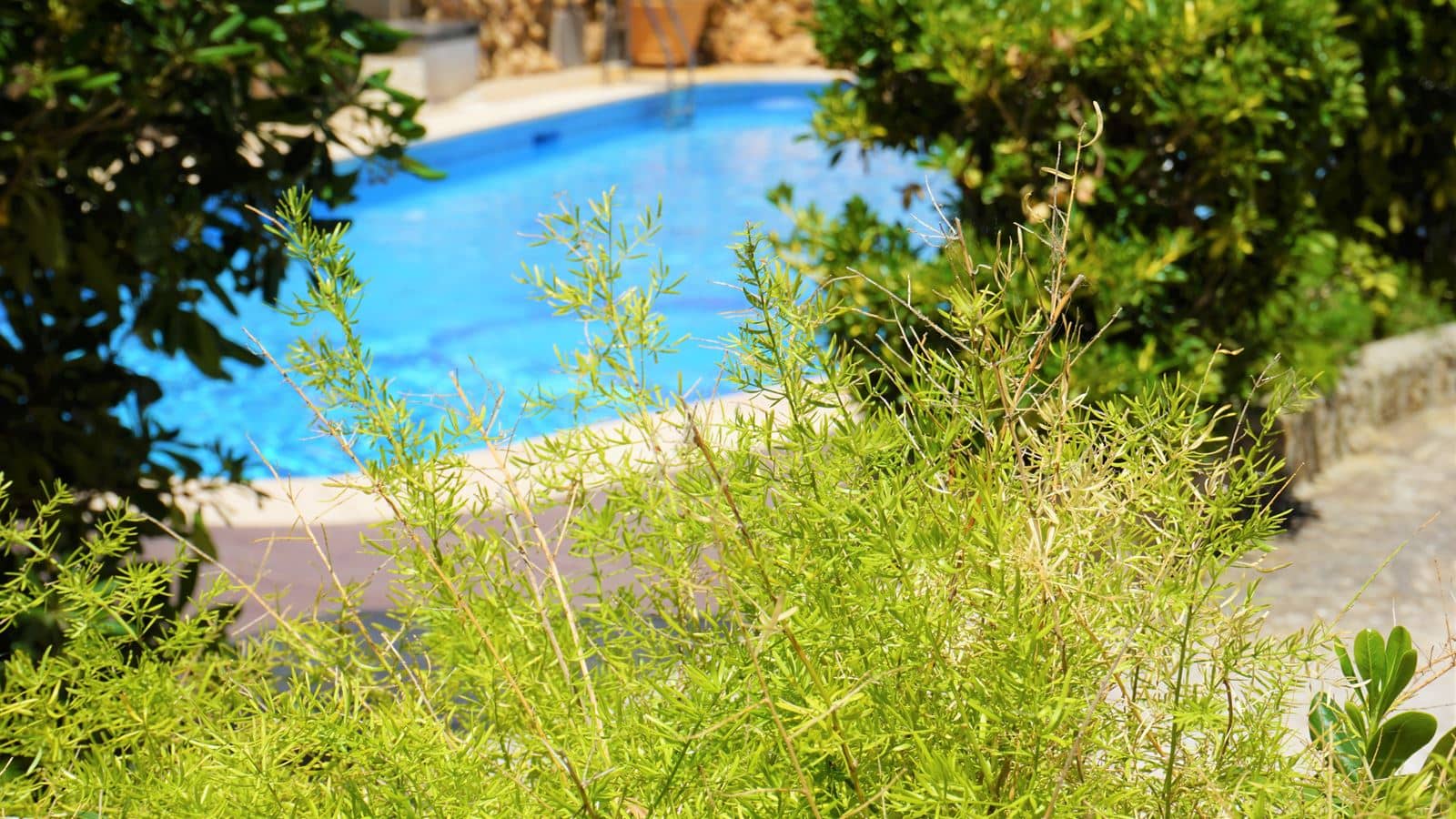 pools-pools