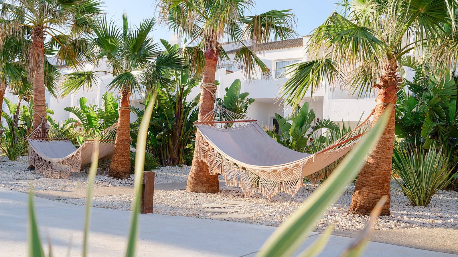 rooms-suite-gardenside