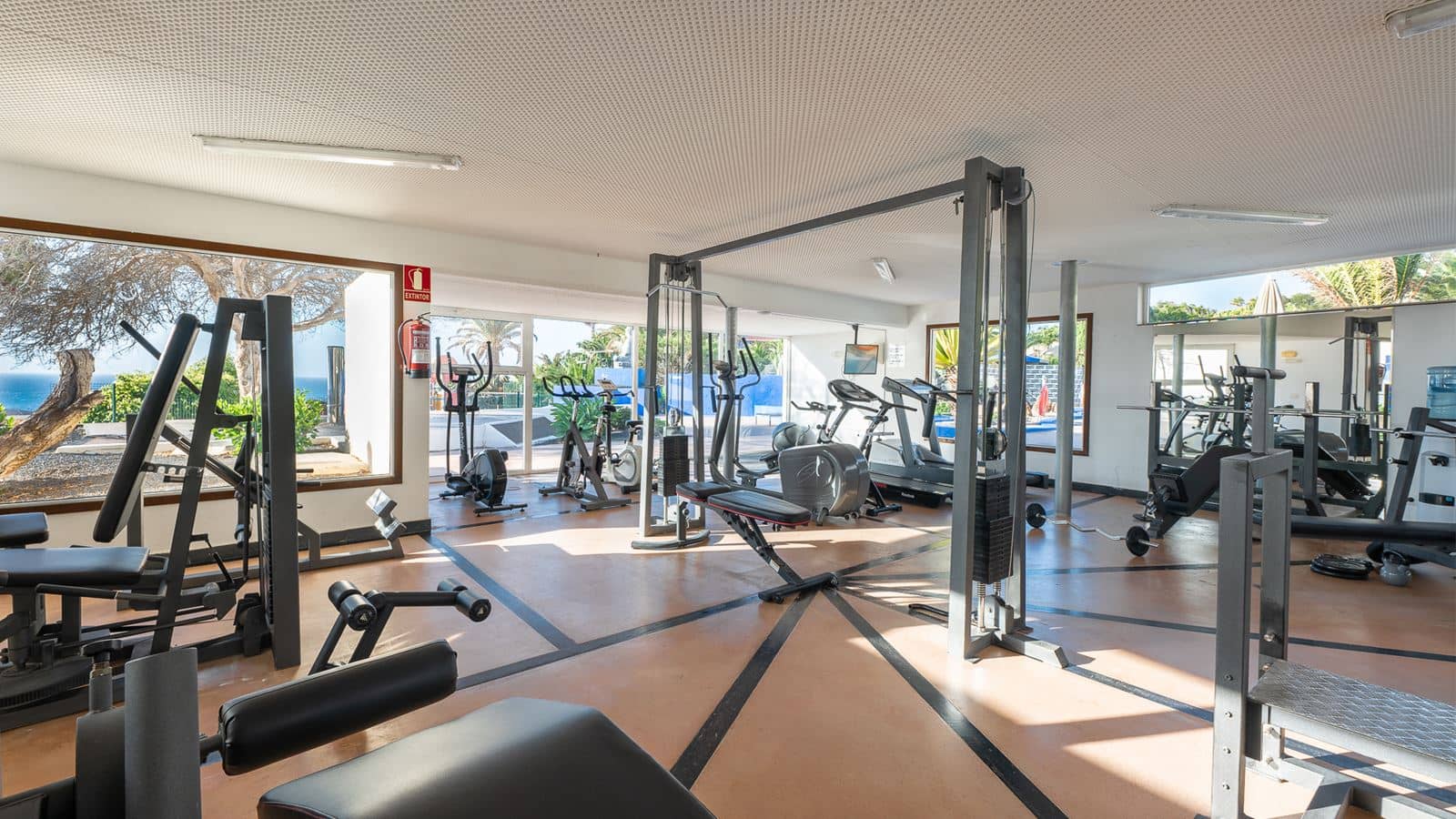 sport-sport