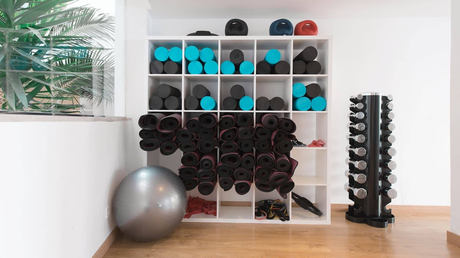 sport-sport