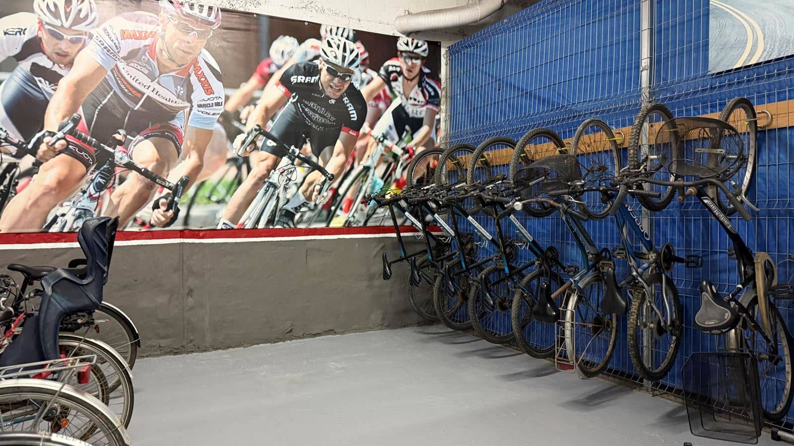 sport-sport