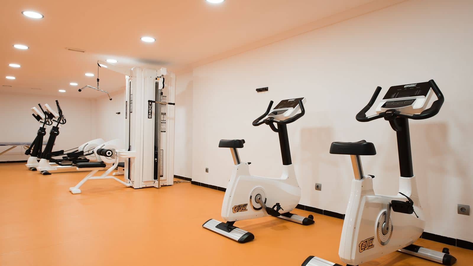sport-sport