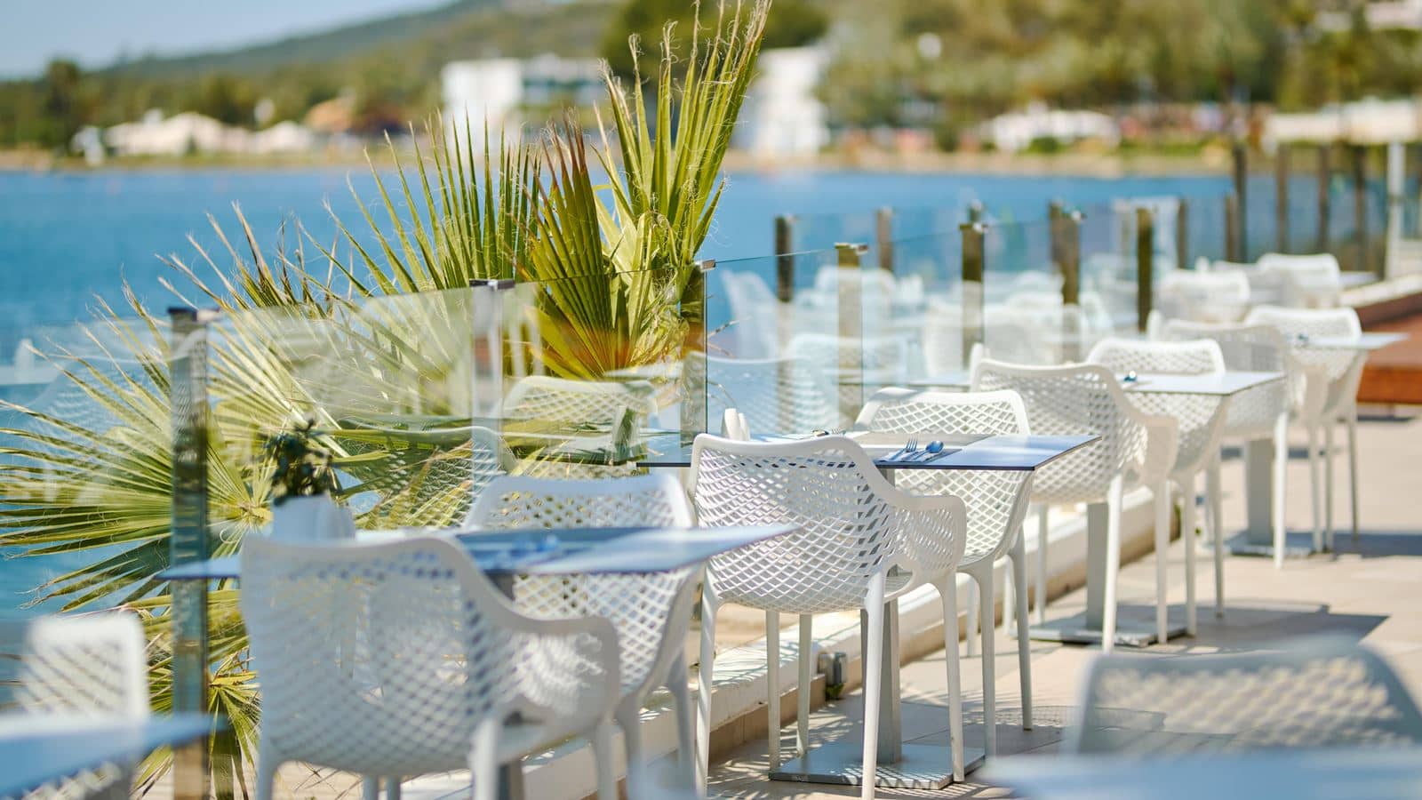 restaurants-terra