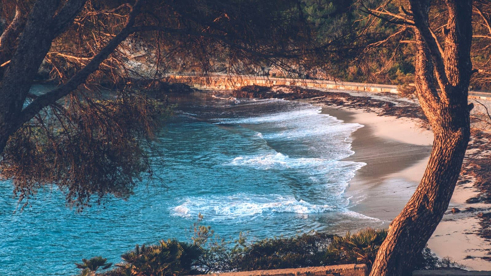 beach-beach