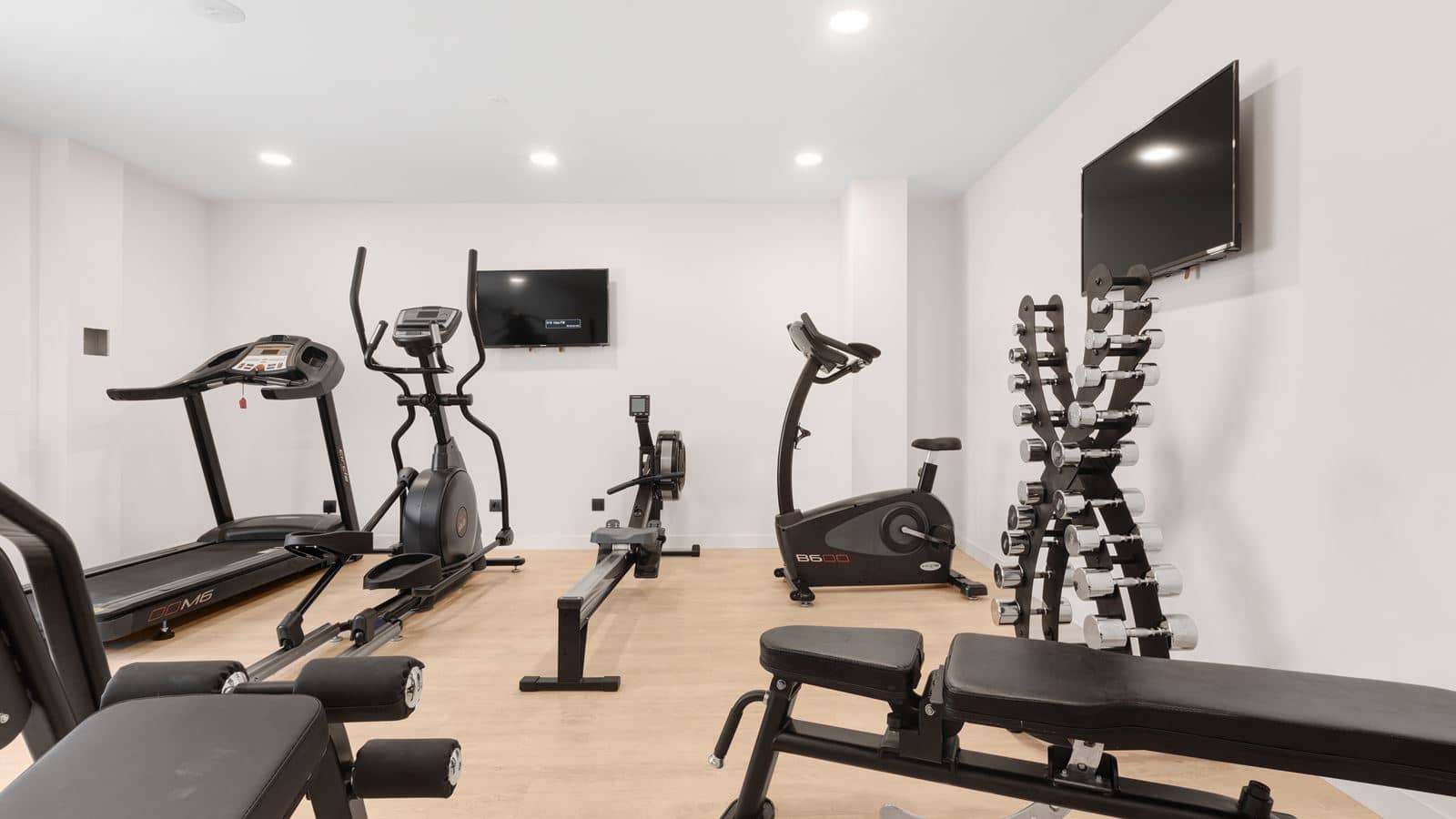 sport-sport