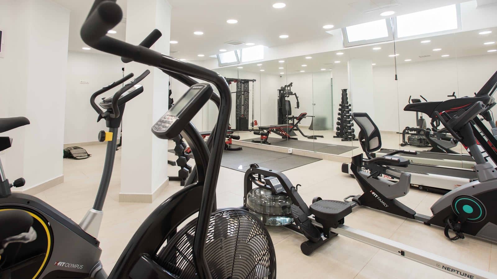 sport-sport