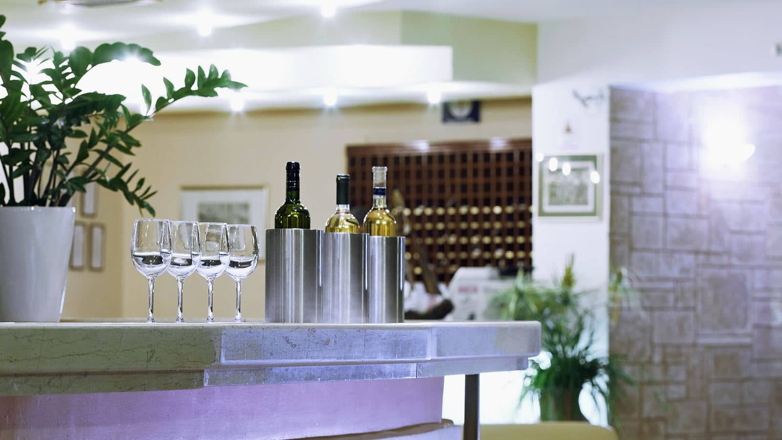 bars-veranda-lobby-bar