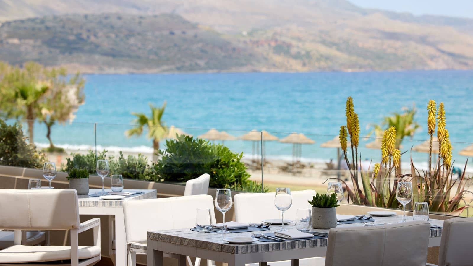 restaurants-chefs-grill