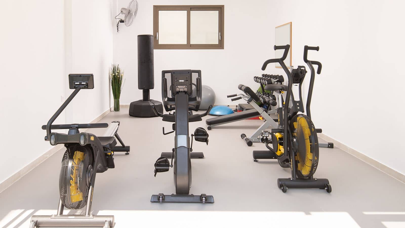 sport-main-building
