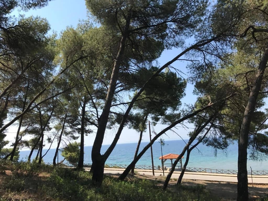 beach-beach