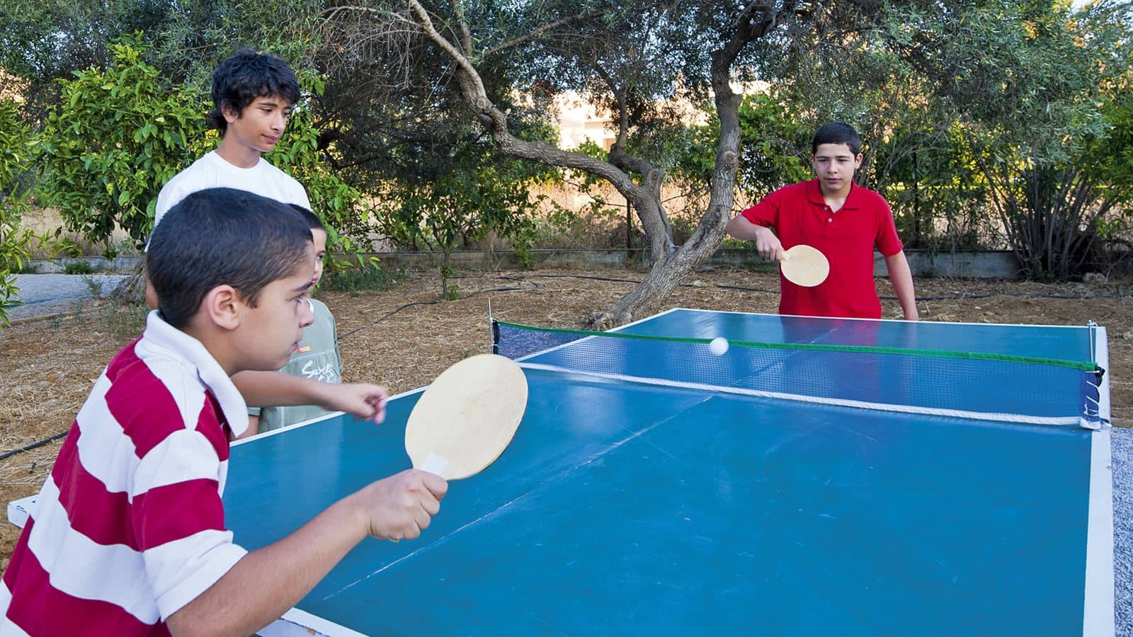 sport-sport