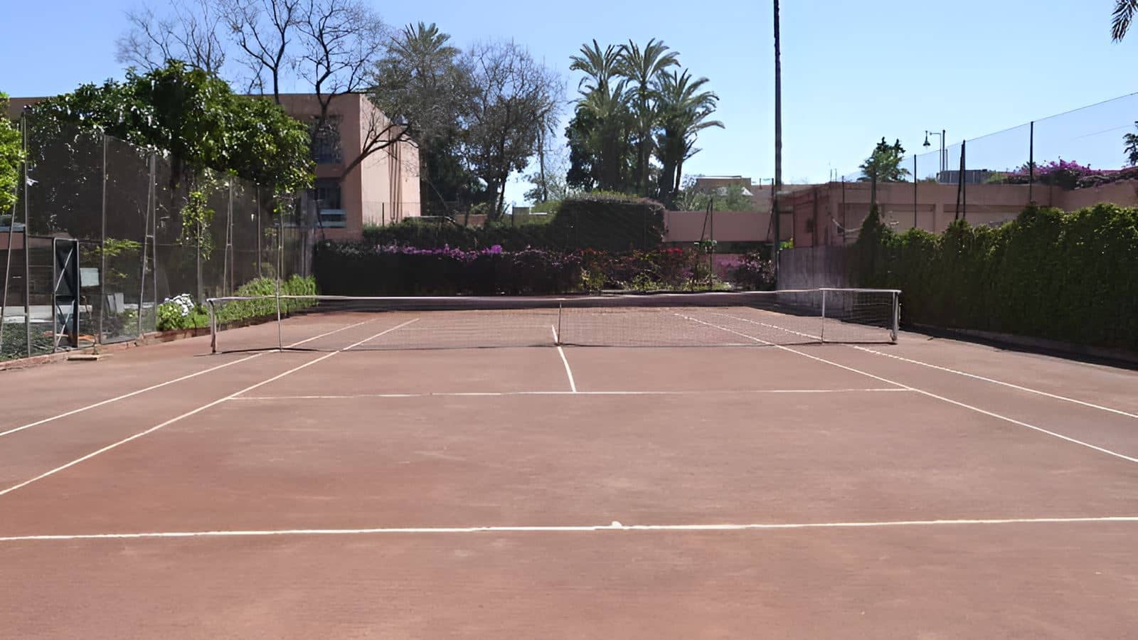 sport-sport