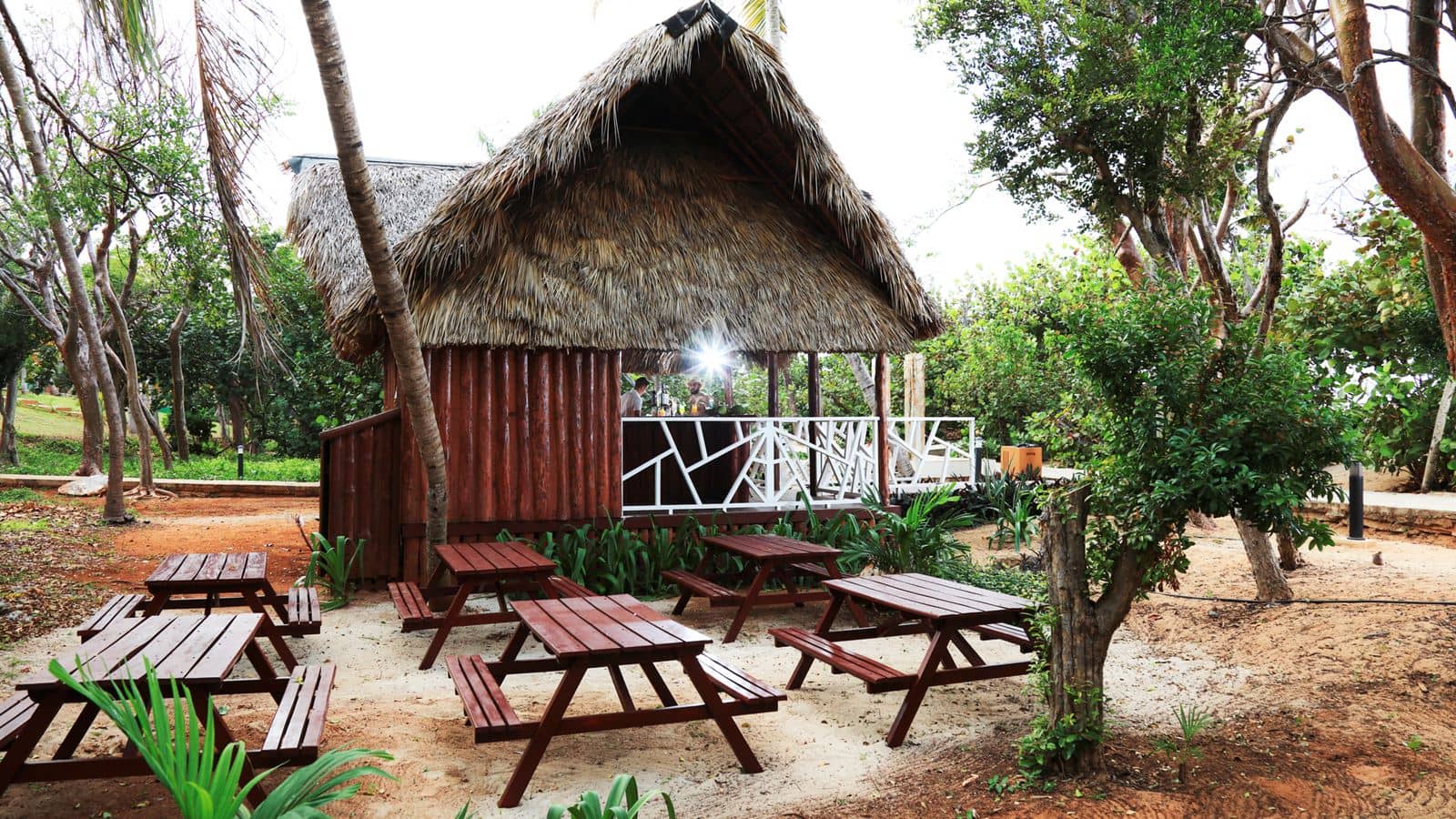 bars-bar-la-caleta