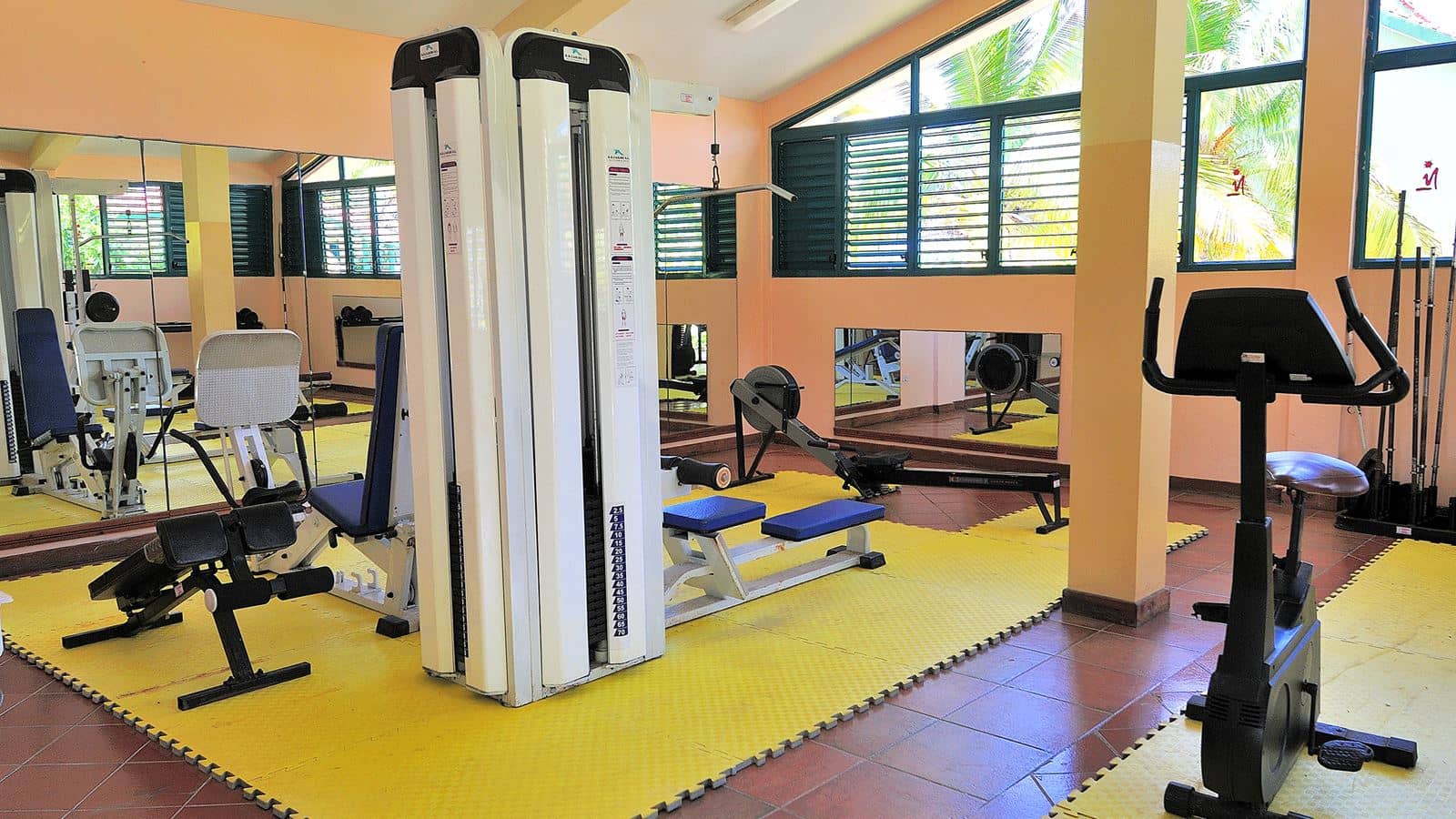 sport-sport