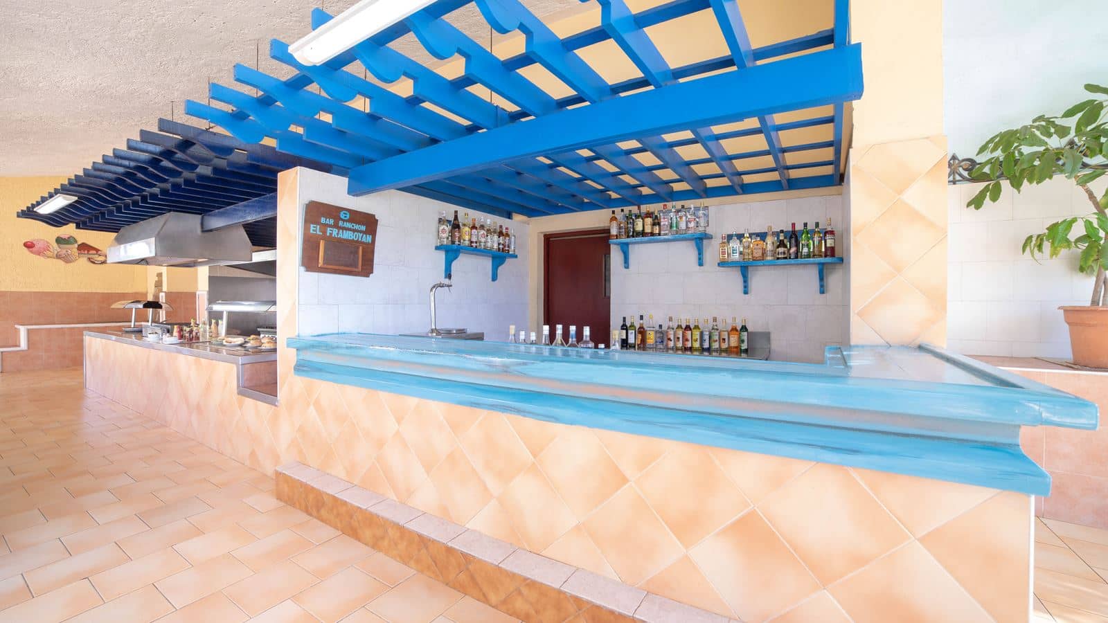 bars-el-framboyán