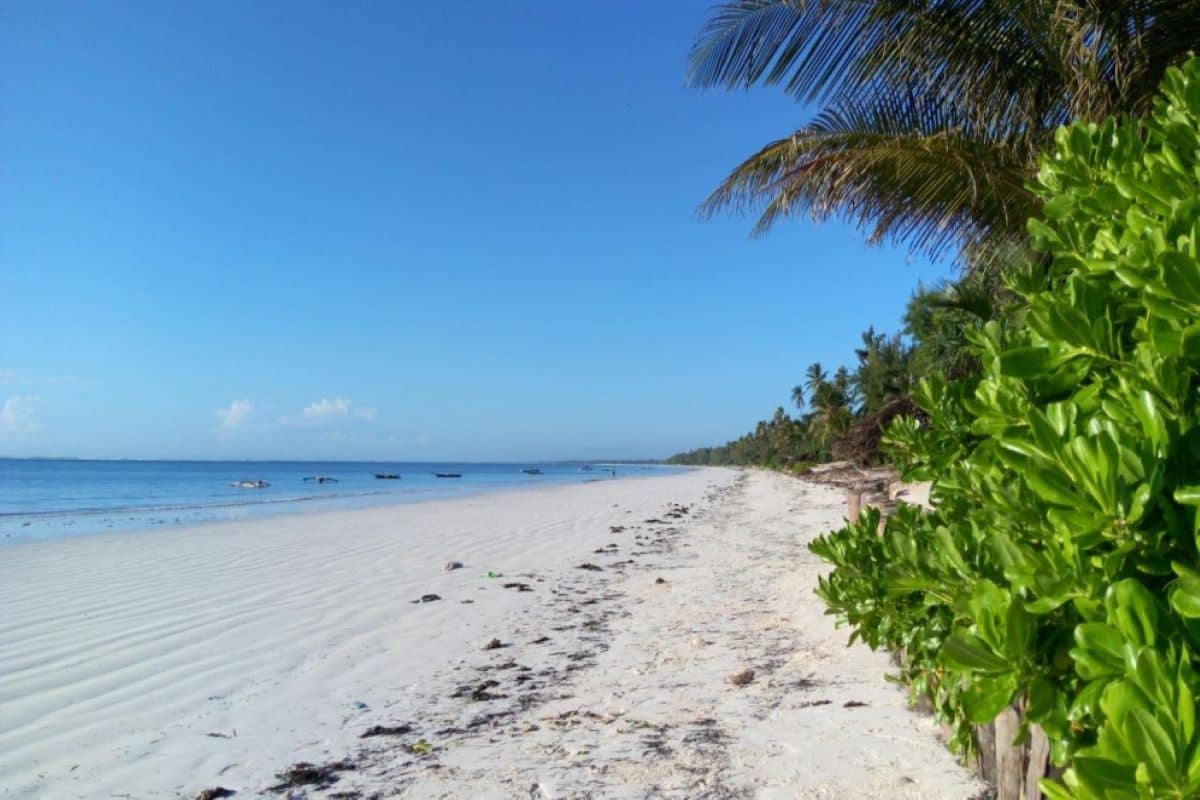 beach-beach