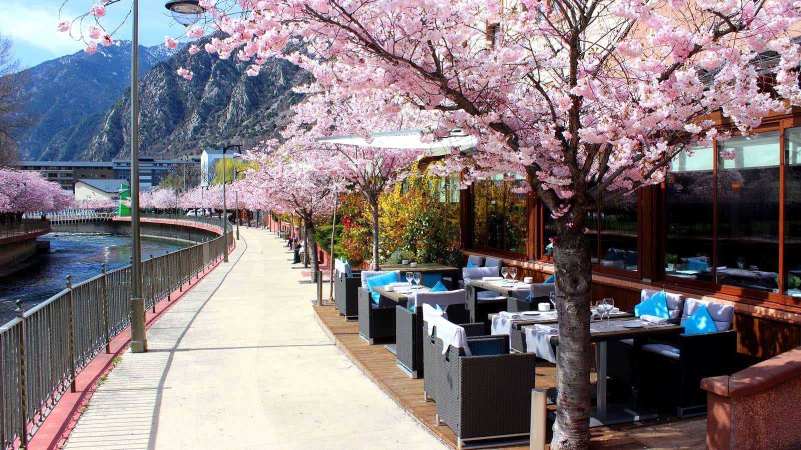 restaurants-platorestaurant