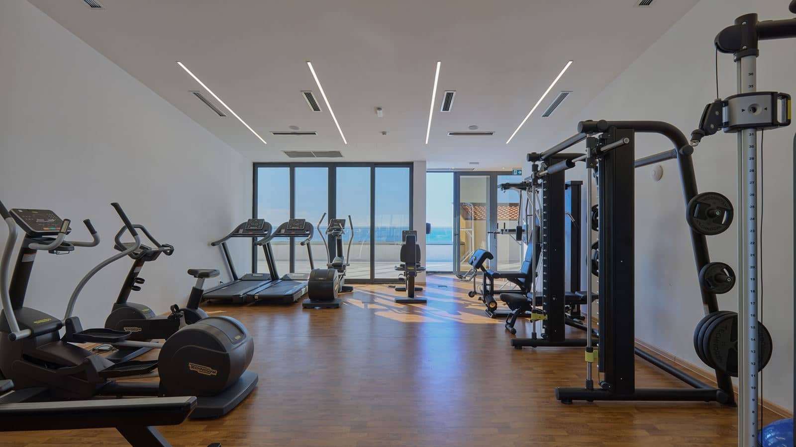 sport-sport