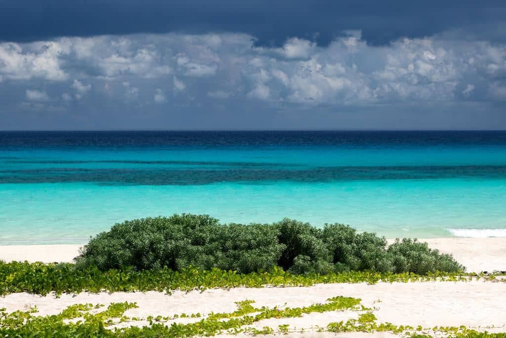 beach-beach