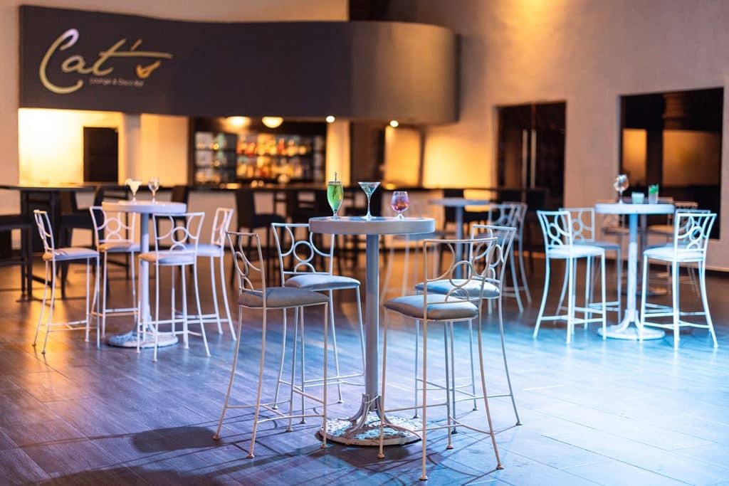 bars-cats-disco-bar-+18
